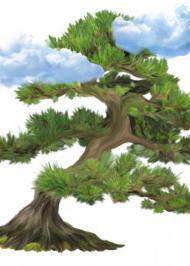 Дерево до неба Дерево до неба