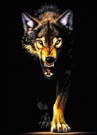 Чому вовк не схотів собачого життя Чому вовк не схотів собачого життя