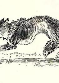 Війна пса з вовком Війна пса з вовком