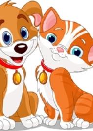 Кіт і пес Кіт і пес