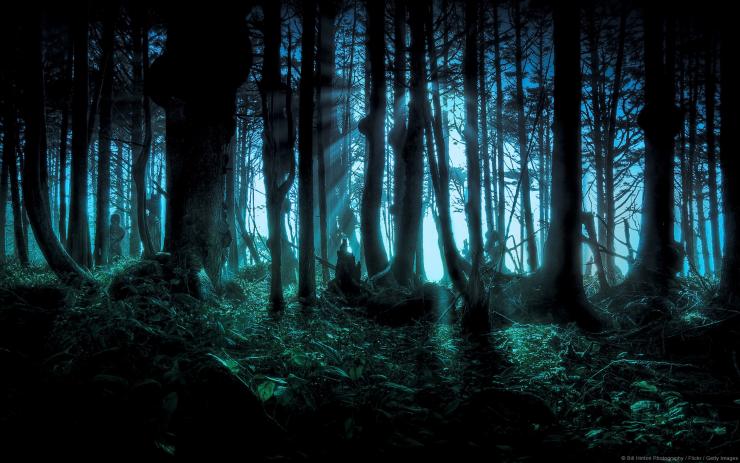 Темний ліс